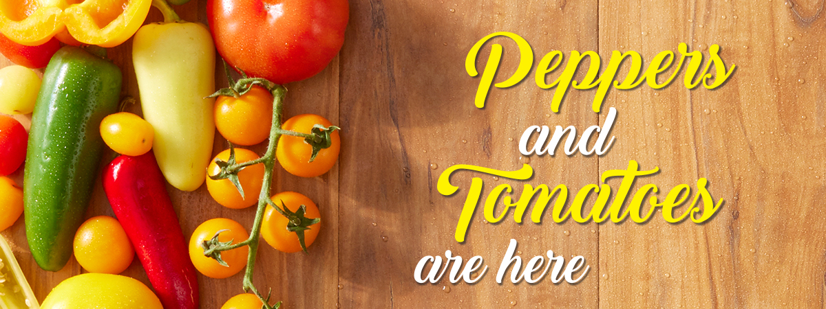 Peppers and Tomatoes Are Here